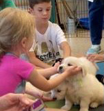 kids playing with pups
