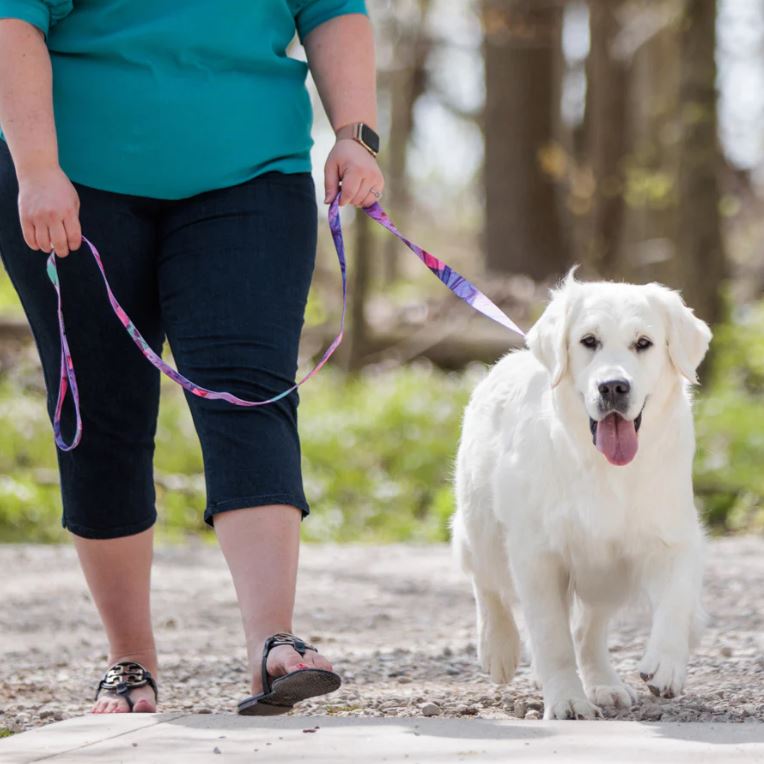 Leash Training Your Puppy Made Easy