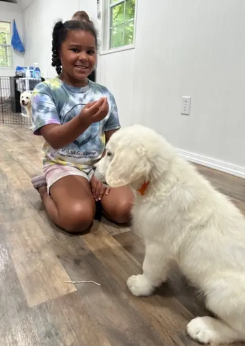 Girl giving puppy a treat