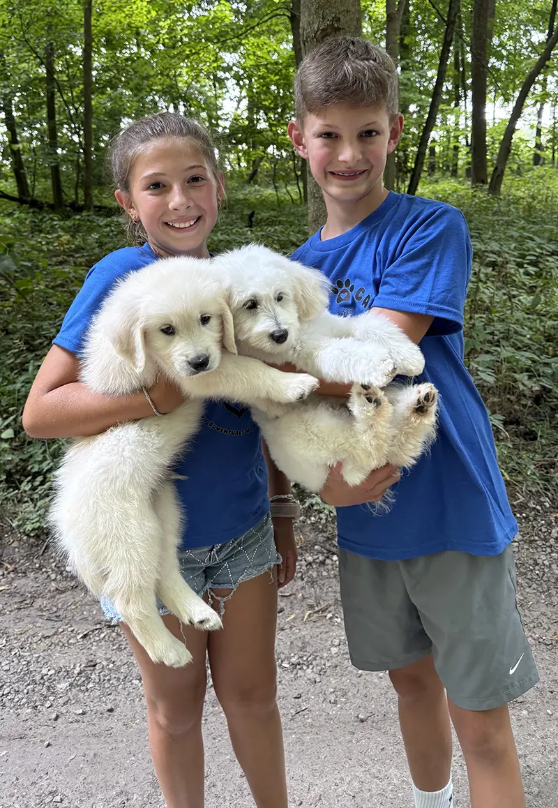 girl watching mother dog and her puppies feed
